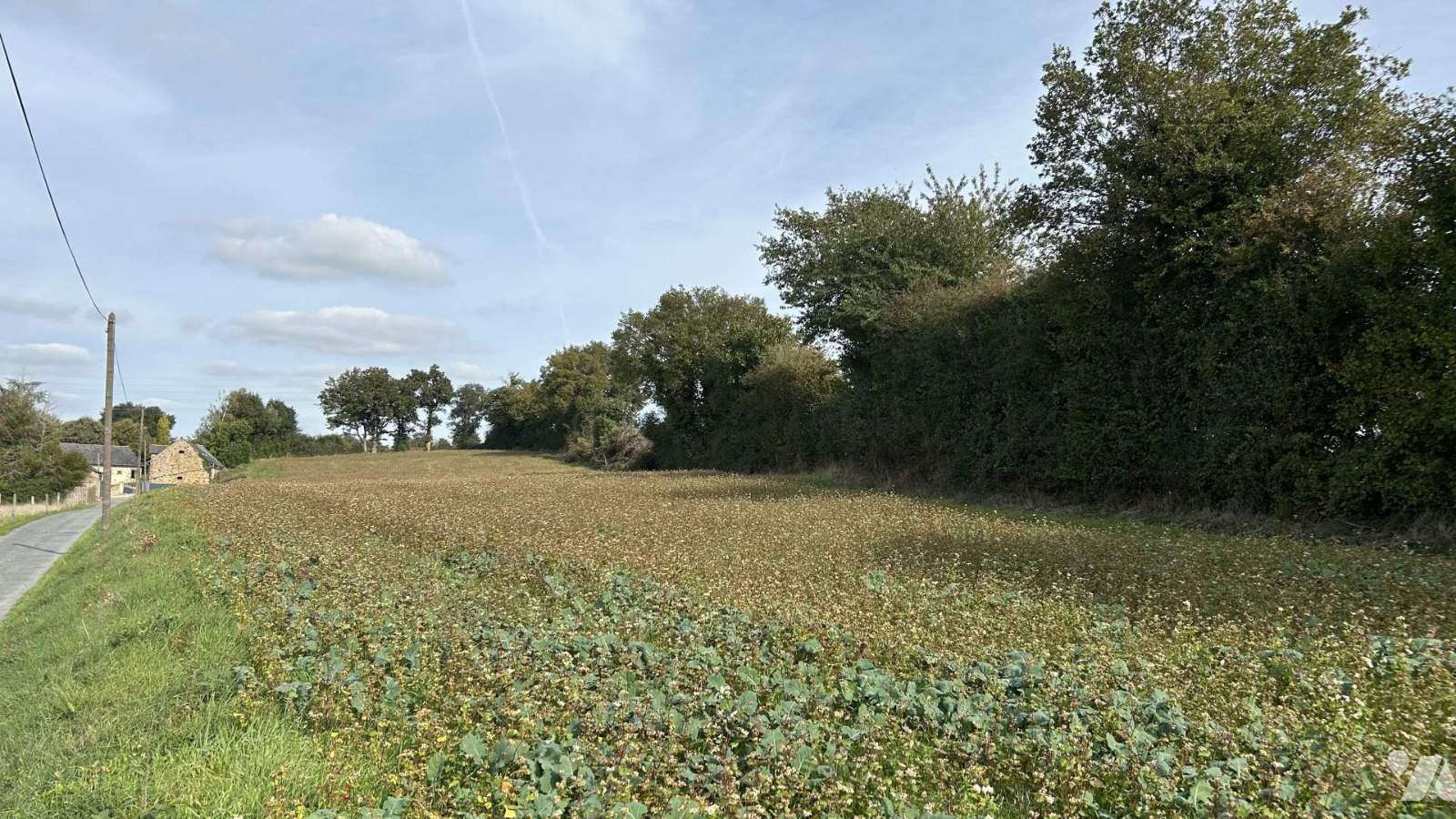 VENTE maison-CHATEAU GONTIER (53)