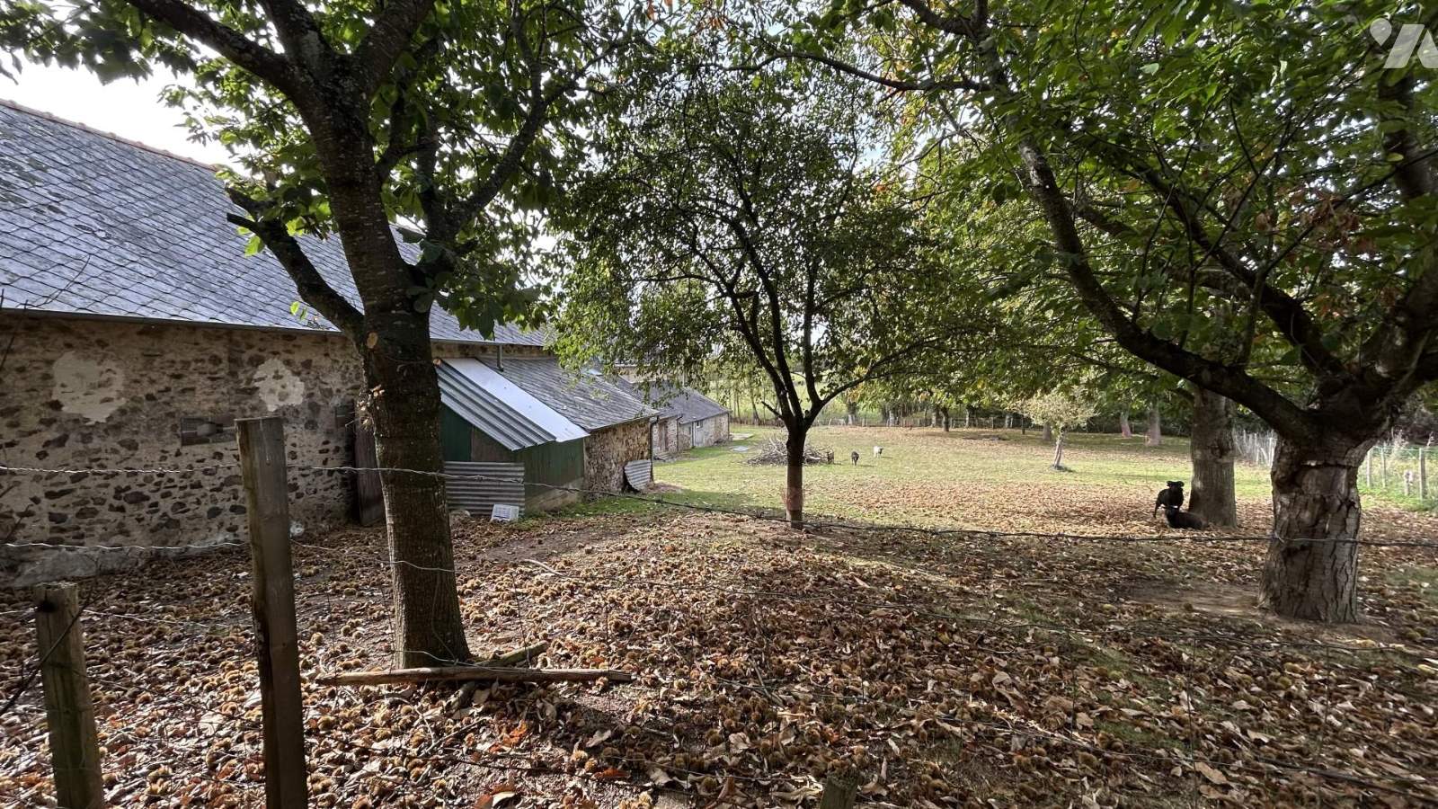 VENTE maison-CHATEAU GONTIER (53)