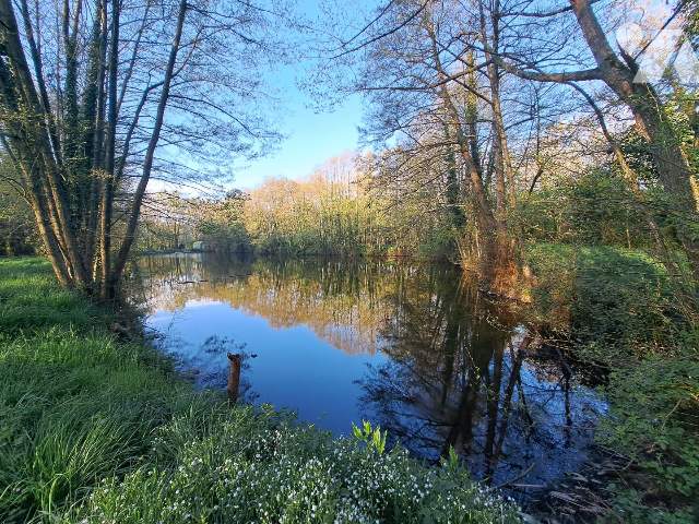 Terrain 34400 m² · à Craon · 34 400 m² · 110 000 €