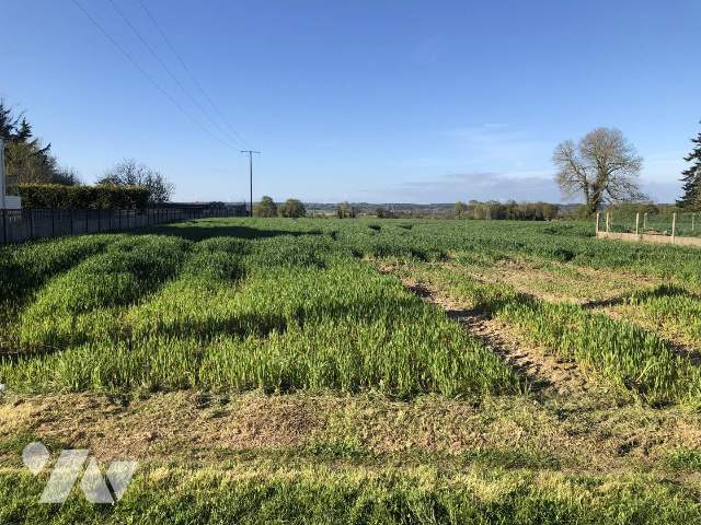 Terrain 1000 m² · à Peillac · 1 000 m² · 35 000 €