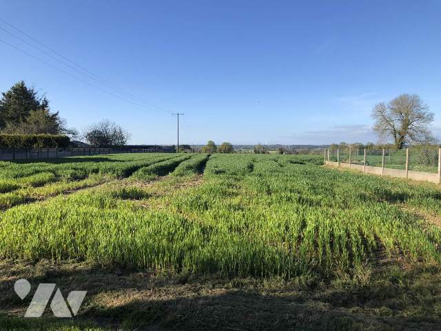 Terrain 1500 m² · à Peillac · 1 500 m² · 45 000 €