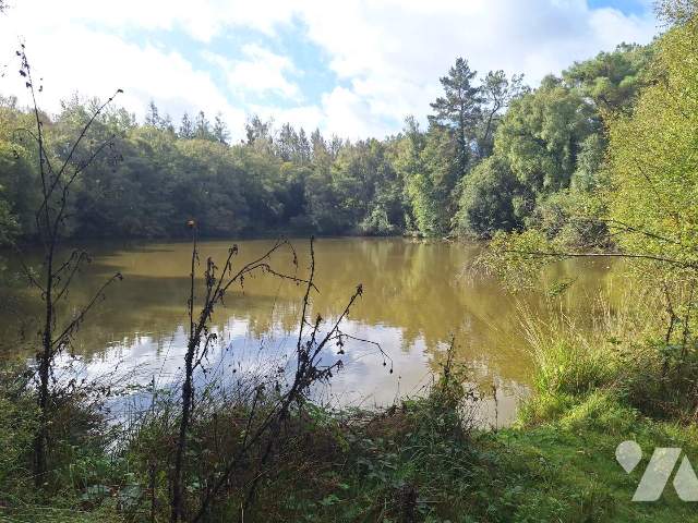 Vente - Terrain - GUILLIERS - 14 300 m² - 05903