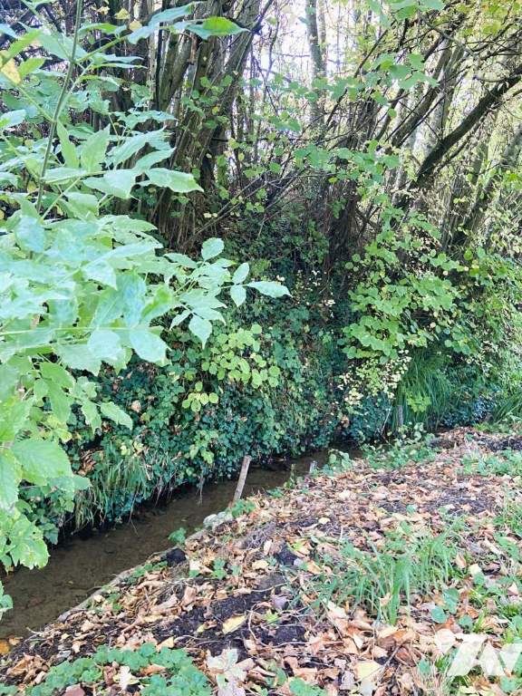 VENTE maison-SALENCY (60)