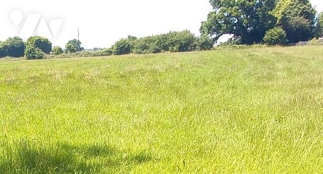 Terrain 15000 m² · à Flers · 15 000 m² · 90 000 €