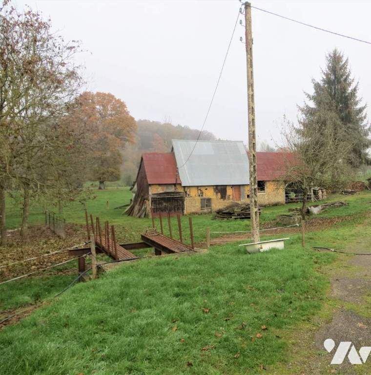 VENTE maison-LA SELLE LA FORGE (61)