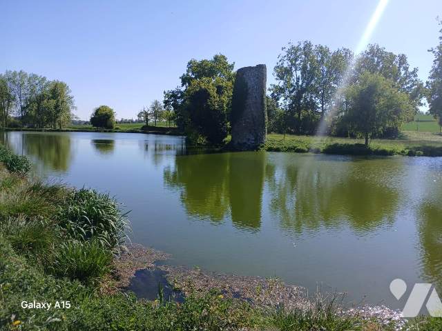 Terrain — Saint-Bômer-les-Forges