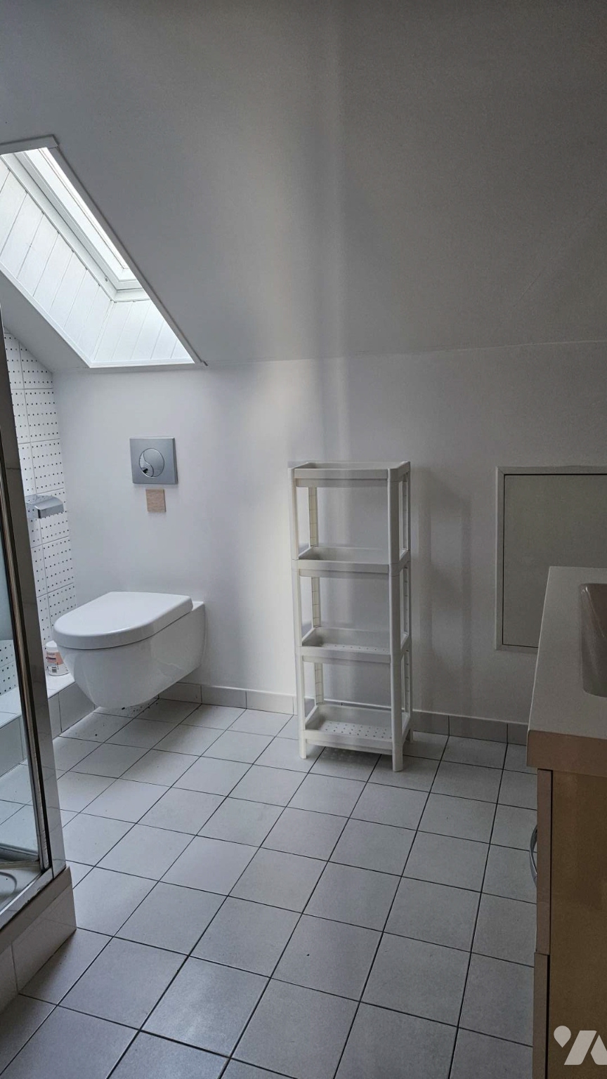 VENTE maison-LA GRANDE PAROISSE (77)