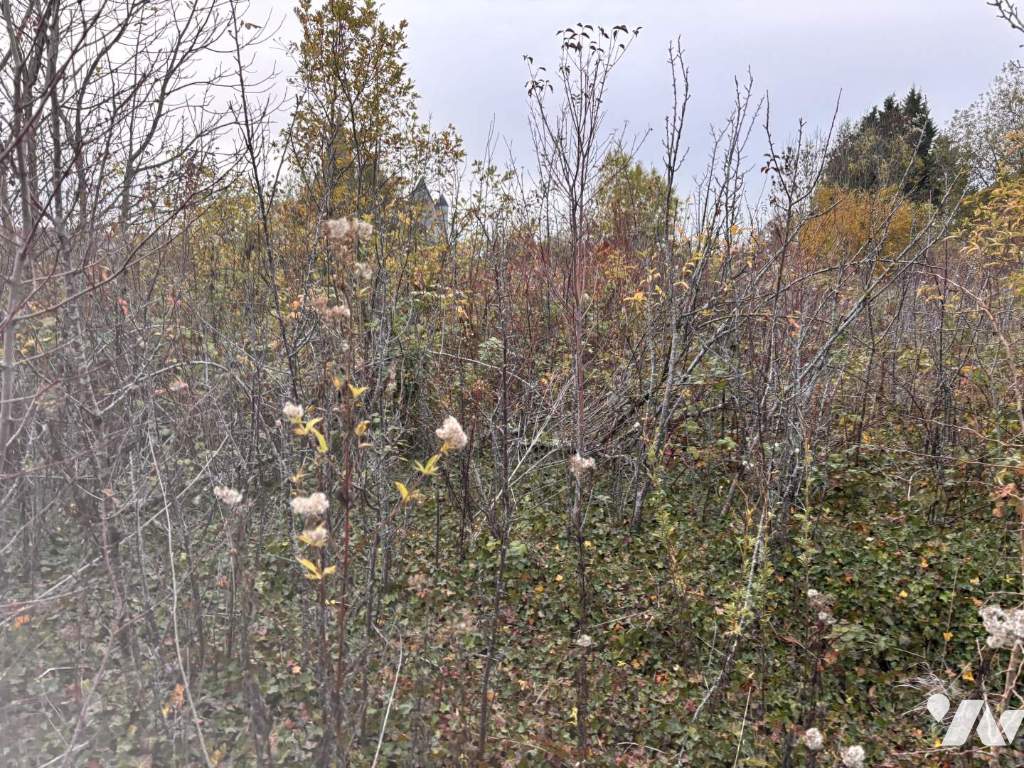 VENTE terrain-AUXI LE CHATEAU (62)