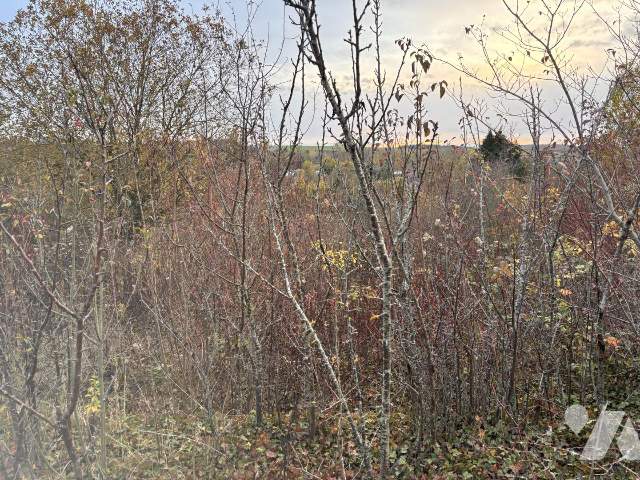 Vente - Terrain - AUXI LE CHATEAU - 5 694 m² - 113/1750