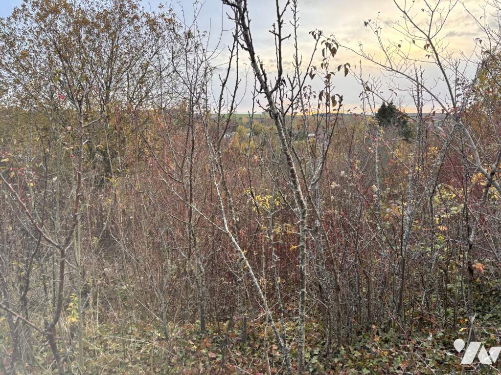 VENTE terrain-AUXI LE CHATEAU (62)