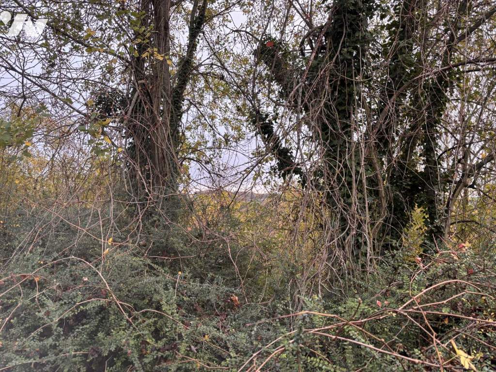 VENTE terrain-AUXI LE CHATEAU (62)