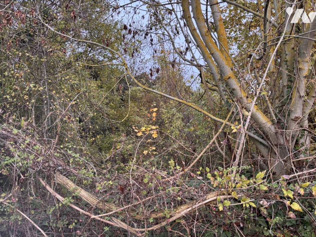 VENTE terrain-AUXI LE CHATEAU (62)