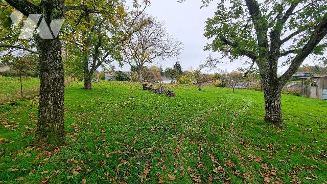 Vente - Terrain - FREMIFONTAINE - 2 099 m² - 008/1203